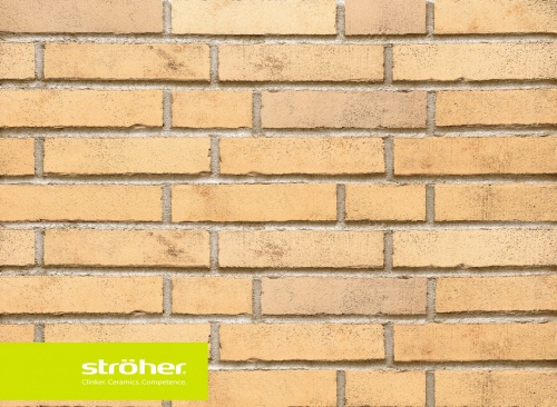 Клинкерная фасадная плитка Stroeher Handstrich 390 champagnersalz, арт. 7650, DF14 240x52x14 мм